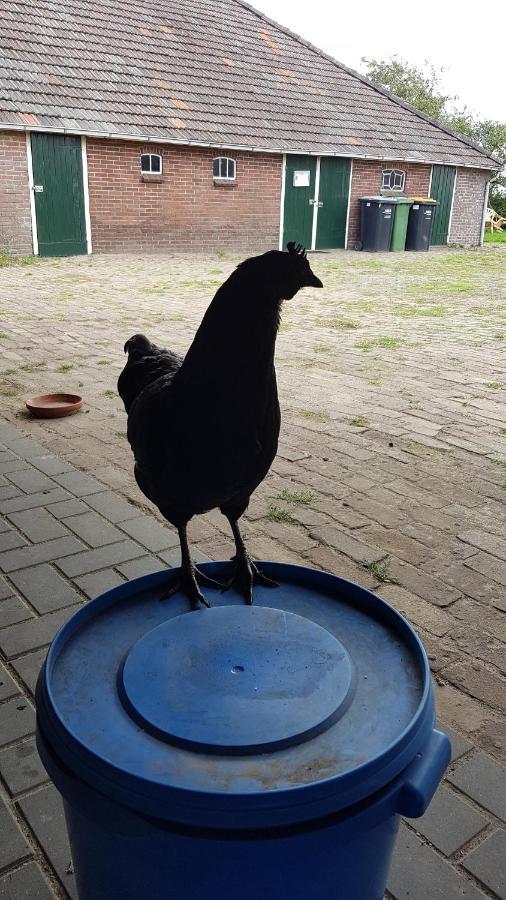 Logeerruimte In Gerenoveerde Boerderij In Wachtum公寓 外观 照片