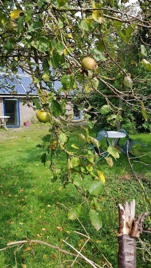 Logeerruimte In Gerenoveerde Boerderij In Wachtum公寓 外观 照片