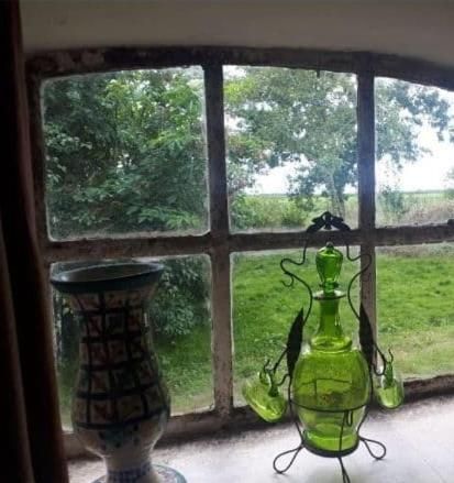 Logeerruimte In Gerenoveerde Boerderij In Wachtum公寓 外观 照片