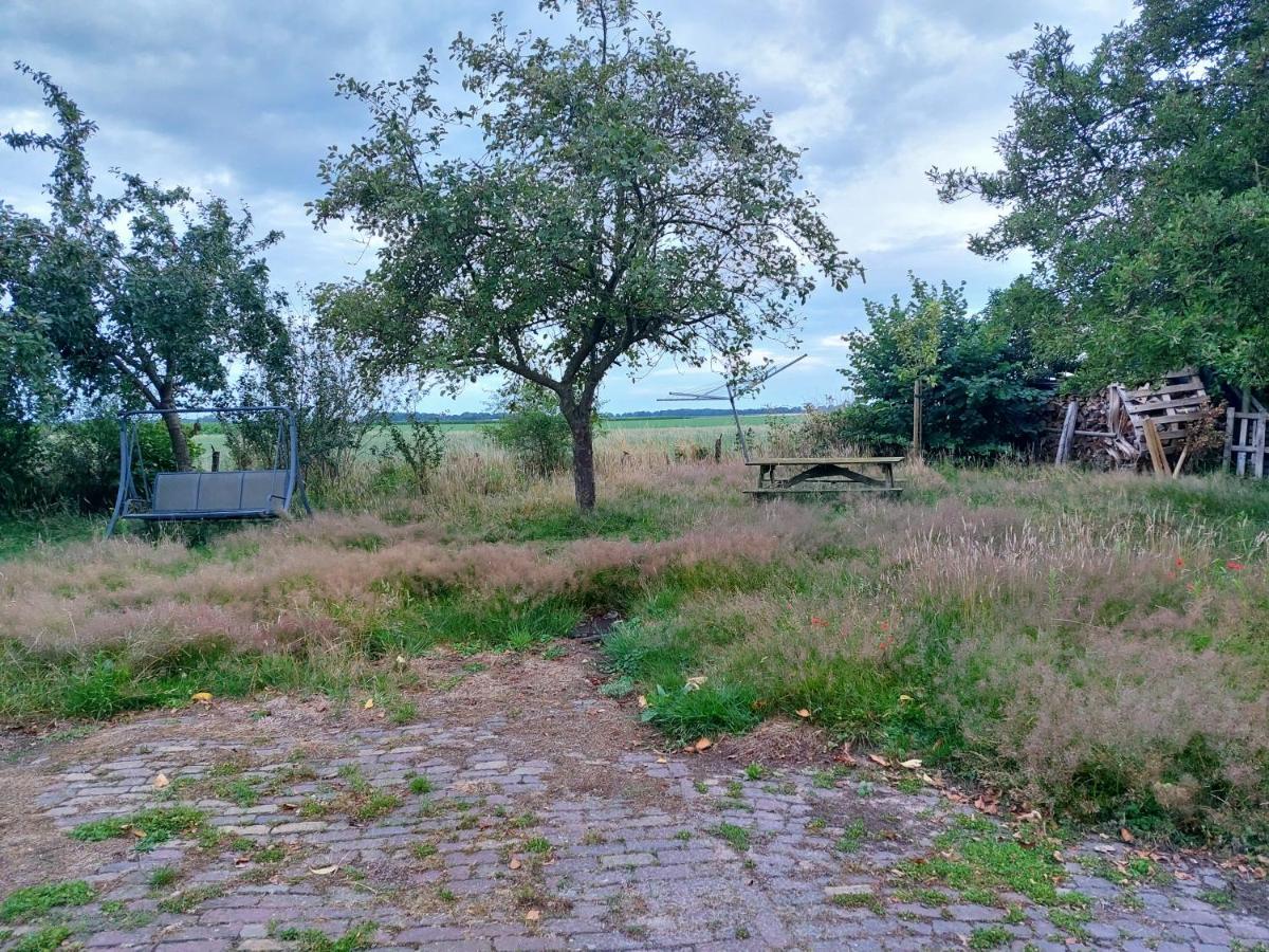 Logeerruimte In Gerenoveerde Boerderij In Wachtum公寓 外观 照片