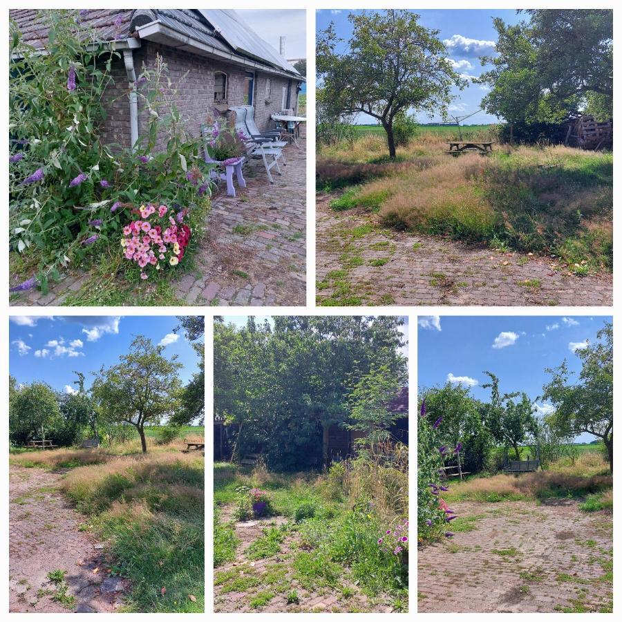 Logeerruimte In Gerenoveerde Boerderij In Wachtum公寓 外观 照片