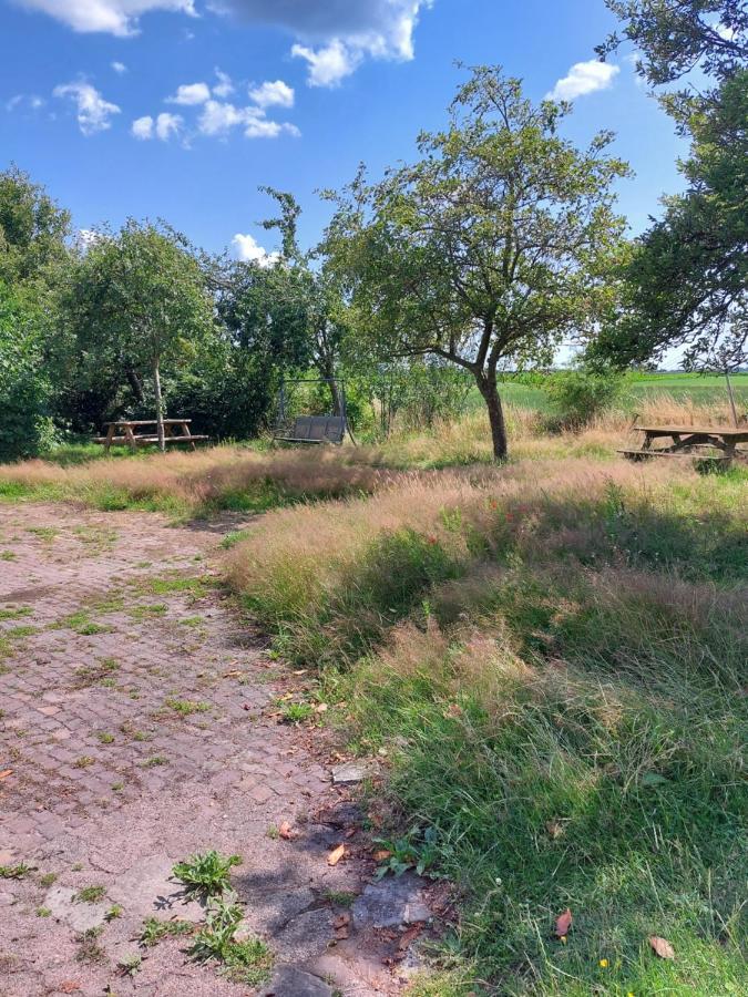 Logeerruimte In Gerenoveerde Boerderij In Wachtum公寓 外观 照片